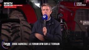 FORUM BFM - "On ne se sent pas écouté", déplore Manon, éleuvese bovine et ovine en Ariège