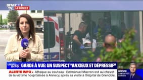 Annecy: le suspect jugé comme "anxieux et dépressif" après son évaluation psychiatrique