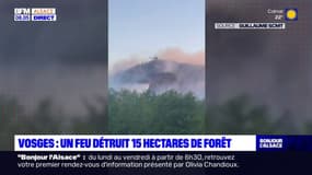 Vosges: un feu détruit 15 hectares de forêt