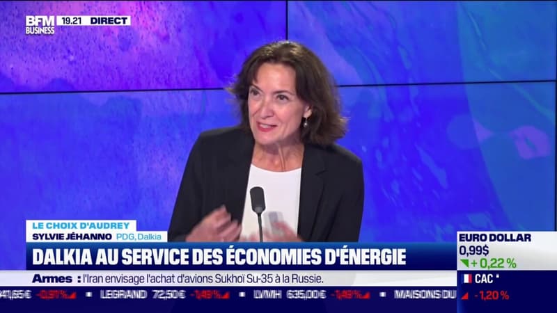 Dalkia au service des économies d'énergie