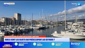 Manifestation au spectacle d'Ary Abittan : quels sont les sujets qui préoccupent les Seynois ?