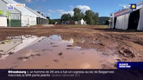 Belfort: après deux soirs annulés en raison des intempéries, les Eurockéennes reprennent ce samedi soir