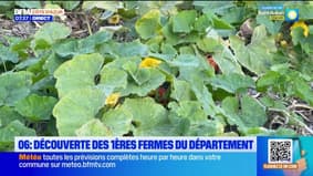 Alpes-Maritimes : découvertes des premières fermes du département