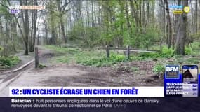 L'essentiel de l'actualité parisienne du lundi 4 avril 2022