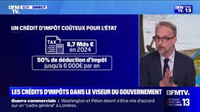 Crédits d'impôts: les services à domicile sont dans le collimateur du gouvernement