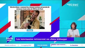 Le coup de cœur de la semaine Josie
