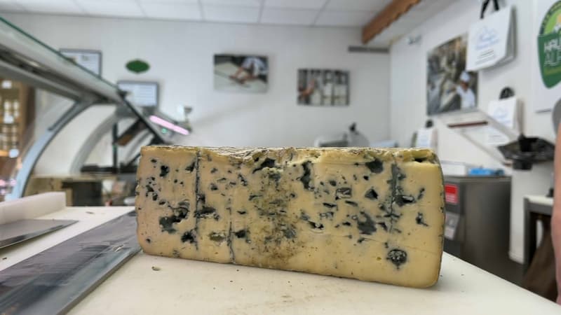 Du bleu du Queyras.