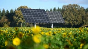 Des panneaux solaires dans un champ de tournesol à Moutiers (Savoie), le 29 novembre 2022