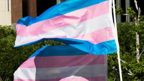 Un drapeau pour le droit des personnes transgenres (photo d'illustration).
