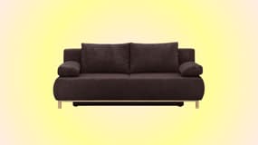 Avez-vous déjà vu une offre plus intéressante que celle-ci sur un canapé convertible ?