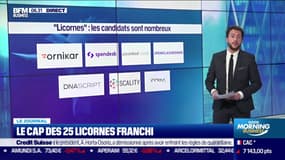 Licornes: les candidats sont nombreux 