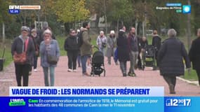 Vague de froid: les Normands sont prêts