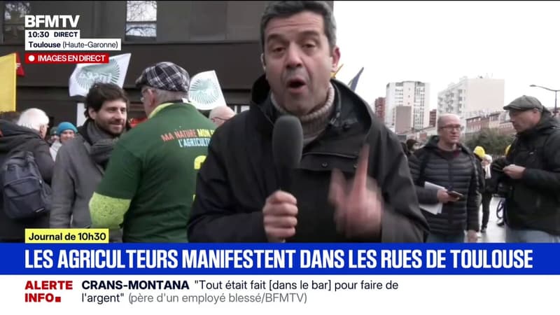 Colère agricole: des agriculteurs manifestent dans les rues de Toulouse