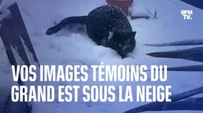 Vos images témoins du Grand Est sous la neige