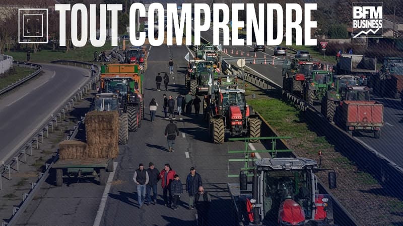 TOUT COMPRENDRE - Pourquoi les agriculteurs expriment leur ras-le-bol