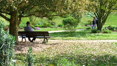 Le parc floral de Paris - image d'illustration