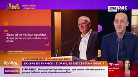 Équipe de France: Zidane, le successeur idéal? 