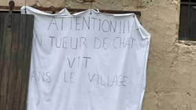A Citry (Seine-et-Marne), des habitants craignent la présence d'un tueur de chats