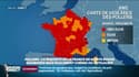 Allergie aux pollens: pourquoi la France est en alerte rouge?
