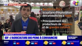 Île-de-France: l'agriculture bio peine encore à convaincre