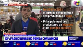 Île-de-France: l'agriculture bio peine encore à convaincre