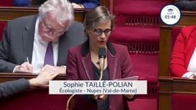 Contrôles anti-fraude de la Caf: "Les critères discriminants doivent impérativement être écartés", demande Sophie Taillé-Polian (écologiste)