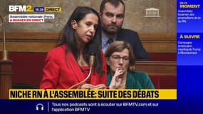 Niche RN: "Entendre dire que l'immigration n'est pas une chance est une provocation", Naïma Moutchou (Horizons)