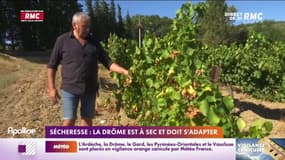Sécheresse : la Drôme est à sec et doit s'adapter