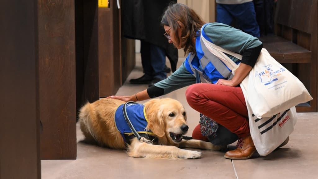 Ouchi le golden retriever accompagne les victimes et leurs proches dans ce procès à la lourde charge émotionnelle.