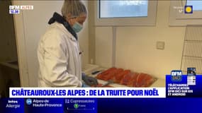 Châteauroux-les-Alpes: de la truite pour Noël