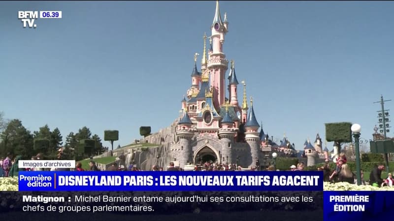 Jusqu'à 175¬ le billet: le prix d'une entrée à Disneyland Paris variera désormais en fonction de la demande