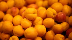 Des abricots dans un supermarché d'Issy-les-Moulineaux (Hauts-de-Seine), le 16 mai 2024.