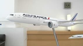 Quel avenir pour Air France?