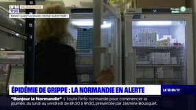 Epidémie de grippe: la Normandie placée en alerte