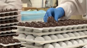 La chocolaterie Abtey située à Heimsbrunn (Haut-Rhin) a mis au point un chocolat sans cacao pour contourner la hausse du prix de cette denrée, sans cacao.