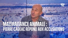 Pierre Cadéac accusé de maltraitance animale: le dresseur s'explique sur BFMTV