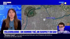 Villeurbanne: un homme tué d'un coup de couteau, un suspect placé en garde à vue