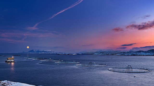 Des fermes d'aquaculture en Norvège.