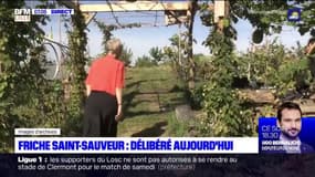 Lille: la justice va rendre sa décision sur la friche Saint-Sauveur