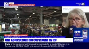 Île-de-France Politiques: une agriculture biologique qui stagne dans la région?