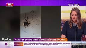 A Neuvy-en-Sullias dans le Loiret, les habitants sont débarassés des mouches