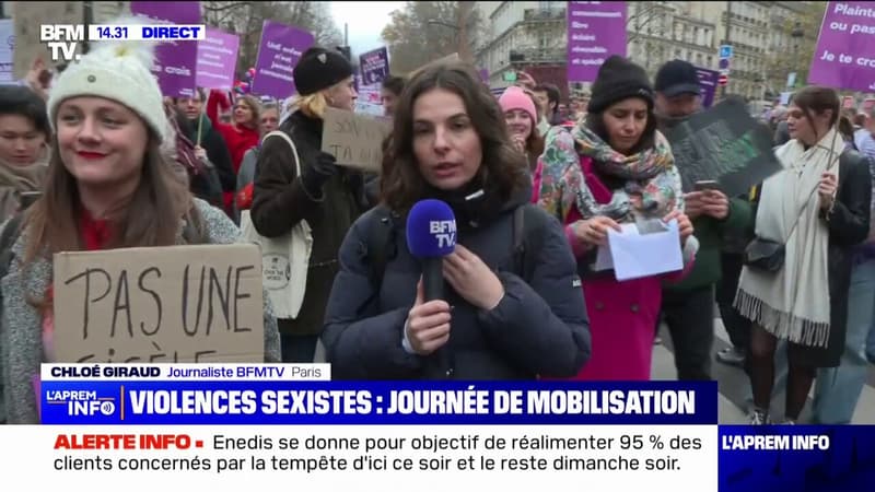 Journée de mobilisation dans toute la France contre les violences faites aux femmes