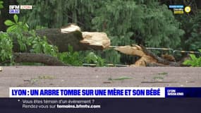 Lyon: une mère et son bébé gravement blessés après la chute d'un arbre