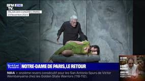 Notre-Dame de Paris, le retour - 25/11