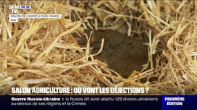 Salon de l'agriculture: qu'est-ce qui advient des déjections d'animaux?