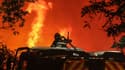 Des pompiers luttent contre un incendie à Landiras, en Gironde, le 13 juillet 2022