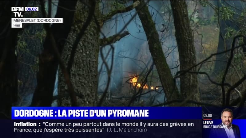 Incendie en Dordogne: quatre départs de feu simultanés, la piste d'un pyromane privilégiée