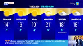 Météo: le soleil et la fraîcheur pour commencer la semaine en Alsace, 11°C à Haguenau et Mulhouse 