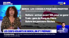 Berck-sur-Mer: les rencontres internationales de cerfs-volants de retour après deux ans d'absence