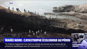 Une immense marée noire provoque une catastrophe écologique au Pérou